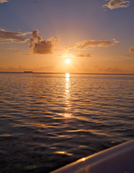 Sunset Tours
